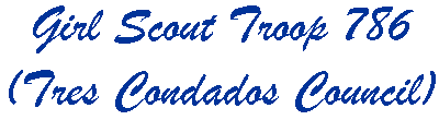 Girl Scout Troop 786